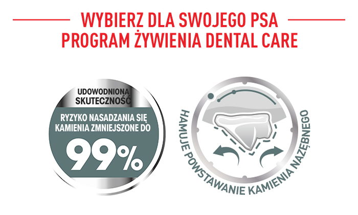ROYAL CANIN CCN Medium Dental Care karma sucha dla psów dorosłych, ras średnich, redukująca powstawanie kamienia nazębnego